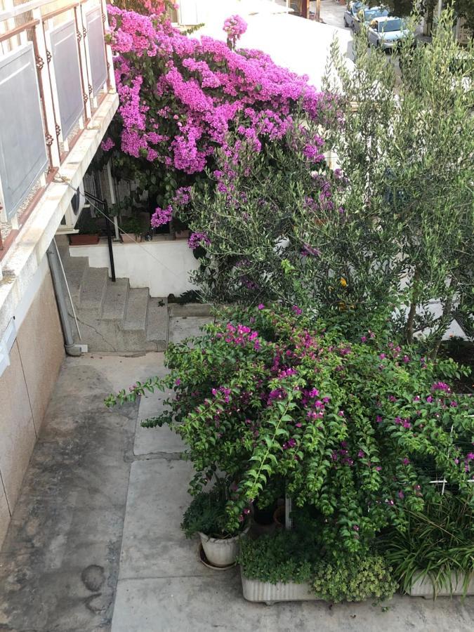 Apartmani Josipa Šibenik Extérieur photo