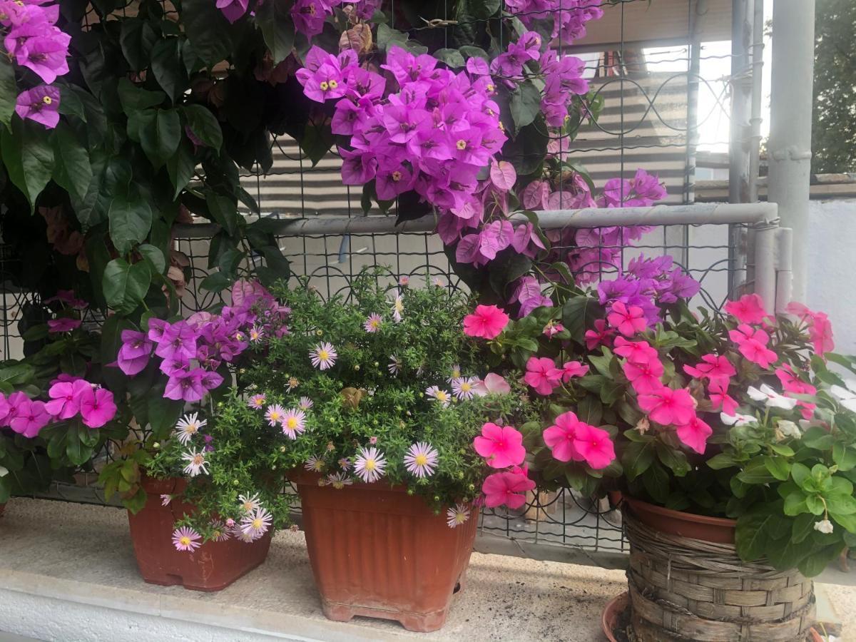 Apartmani Josipa Šibenik Extérieur photo